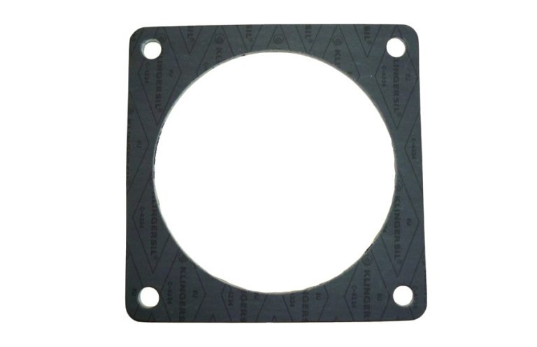 4″ RFV Port Gasket